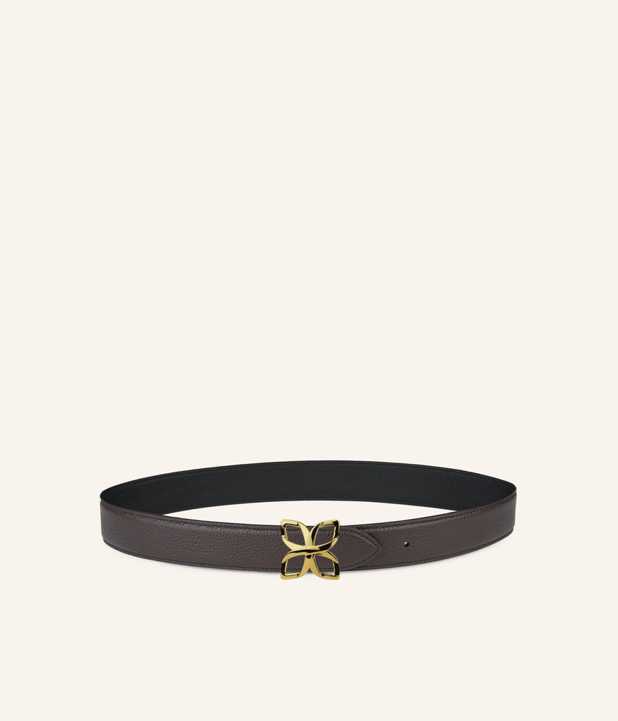 Ceinture Hortensia Doré 33mm | Espresso Noir Lisse - Fleuron Paris
